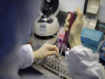 اختصاص ۲۱۶ آزمایشگاه تشخیص كووید ۱۹ برای مسافران مرزی