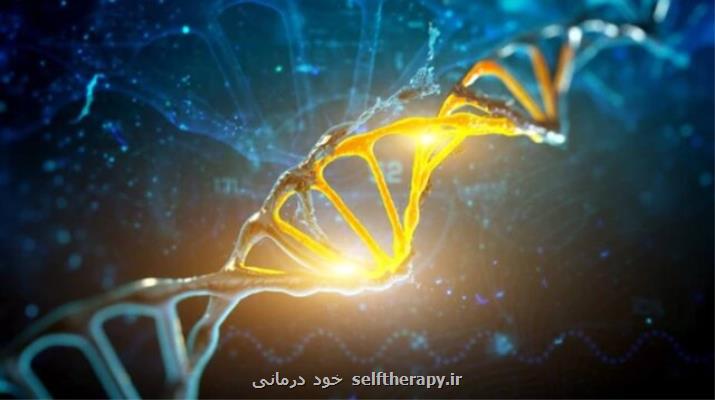 امید به بهبود درمان های ناباروری با بررسی ژن های موثر بر شروع یائسگی