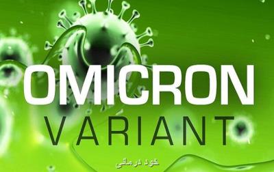 سویه اومیکرون به روند آخر پاندمی کووید 19 کمک می نماید