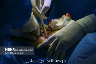 انجام ۱۴ پیوند کلیه و کبد در نخستین روز سال نو