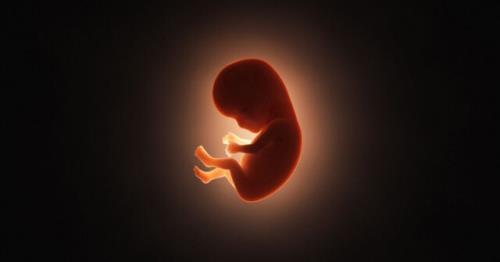پیگیری طراحی سامانه در رابطه با اهداکنندگان اسپرم و تخمک توسط وزارت بهداشت
