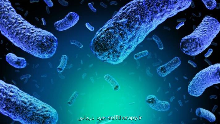 ۵ راهکار طبیعی برای پیشگیری از گسترش عفونت باکتریایی