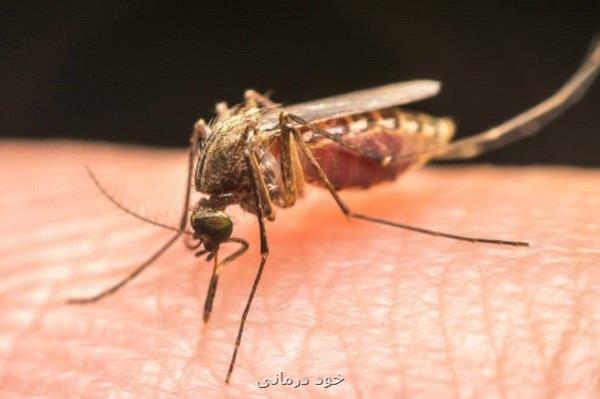 ریشه کنی مالاریا در ایران مبتلا به اختلال شد