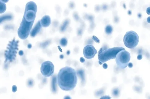 اعلام شعار و روزشمار هفته جهانی آگاهی از مقاومت میکروبی سال 1404