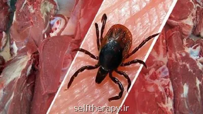 شناسایی ۹ مورد تب کریمه کنگو در استان یزد