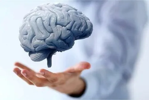۴ کار ساده برای سالم نگه داشتن مغز