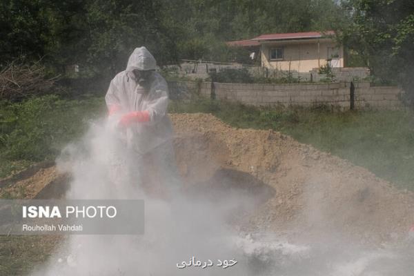 در سوگ جان هایی كه كرونا گرفت